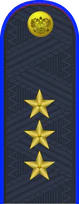 18.погон ФССП - генерал-полковник.png