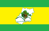 Флаг