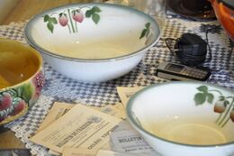 Cuisine fraisiériste.JPG