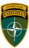 NATO eFP Battle Groups shoulder badge.png