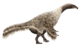 Nanshiungosaurus Restoration (flipped).png