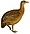 NothuraDarwiniiSmit white background.jpg