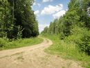 Ржевский (Охтинский) лесопарк.26.jpg