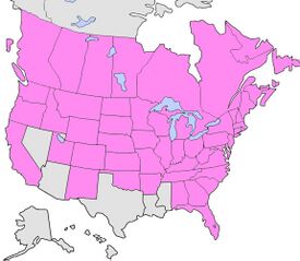 Распространение сурепки обыкновенной в штатах Канады и США