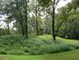07-09-11 LkJksnMoundsStPkMnd4.jpg