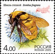 2005. Марка России stamp hi12612324824b2ce162991f2.jpg