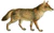 Dogs, jackals, wolves, and foxes (Plate X).jpg