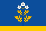 Флаг