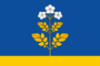 Flag of Falyonsky rayon.png