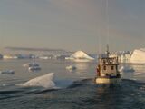 Greenland 7, sailing through Ilulissat Icefjord.jpg