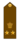 IIArmy-Sarlashgar.png