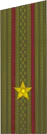погоны 1969