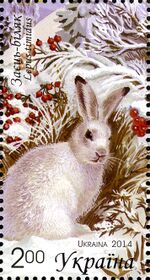 Stamps of Ukraine, 2014-61.jpg