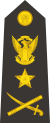Vice admiral