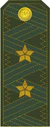 UA OF8-LtGen 1991-GF.png