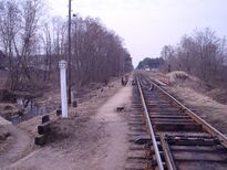 Ves2006 53.jpg