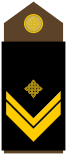 Army-HRV-OR-07.svg