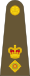 British Army OF-4.svg