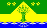 Флаг
