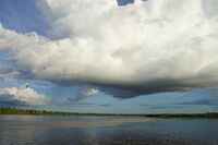 Rio Marañon-99.JPG