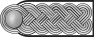 SS-Sturmbannführer h.svg