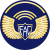 Tecnico segundo fuerza aerea.svg
