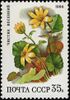 The Soviet Union 1988 CPA 5969 stamp (Deciduous forest flowers. Lesser celandine).jpg