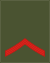01-Montenegro Army-LCP.svg