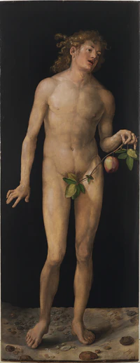 Albrecht Dürer - Adam.jpg