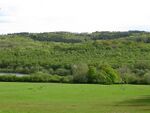 Darwell Wood - geograph.org.uk - 1289806.jpg