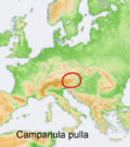 Distribution map Campanula pulla.png