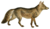 Dogs, jackals, wolves, and foxes (Plate XV).png