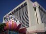 Flamingohotelyay.jpg