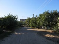 Motornaya Str., Melitopol, Zaporizhia Oblast, Ukraine 21.JPG