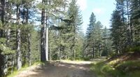 Pindus National Park Flegga.JPG