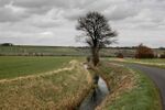Romney Marsh - North-east of Newchurch - geograph.org.uk - 709846.jpg
