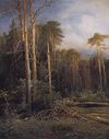 Savrasov road forest.jpg