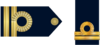 TN-ARA.png