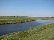 Teza River. Dunilovo.jpg