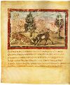 VaticanVergilFolio04vBullsFighting.jpg