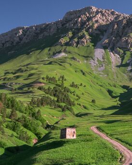 ОасегӀа пхьа я Цхьорелоама хьалхашка
