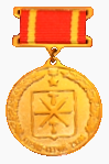 Медаль «За заслуги в области здравоохранения» (Тула).png