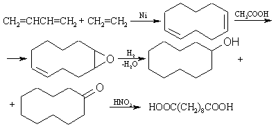Syntsebac.PNG