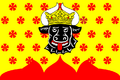 Syaskelevo flag.png