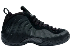 Air Foamposite One Black.png