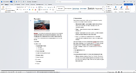 Скриншот программы Microsoft Word
