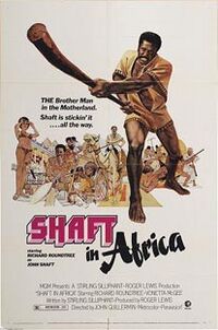 Shaft in Africa.jpg