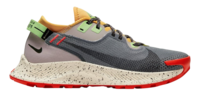 Nike Pegasus Trail 2 Gore-Tex.png