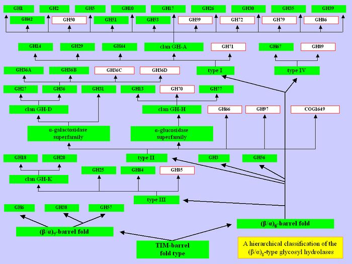 GH classification.jpg