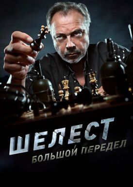 Шелест. Большой передел.jpg